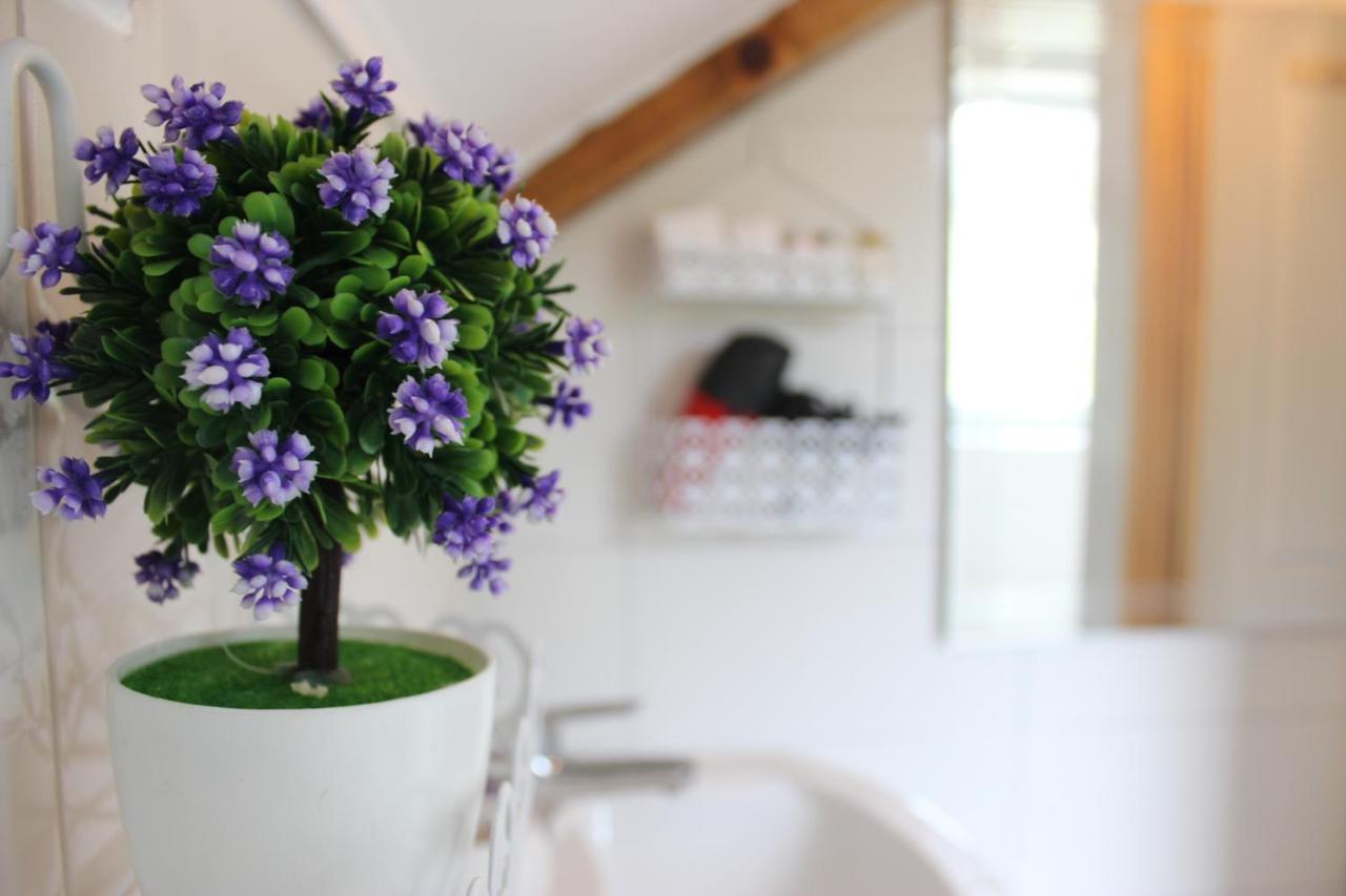 Apartment Ajda Udbina Εξωτερικό φωτογραφία